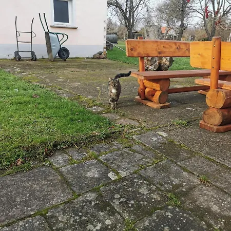Wellness Oase Auf Dem Land Villa Buttstadt Buitenkant foto